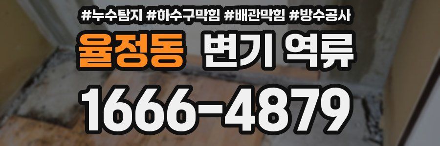 율정동 변기 역류