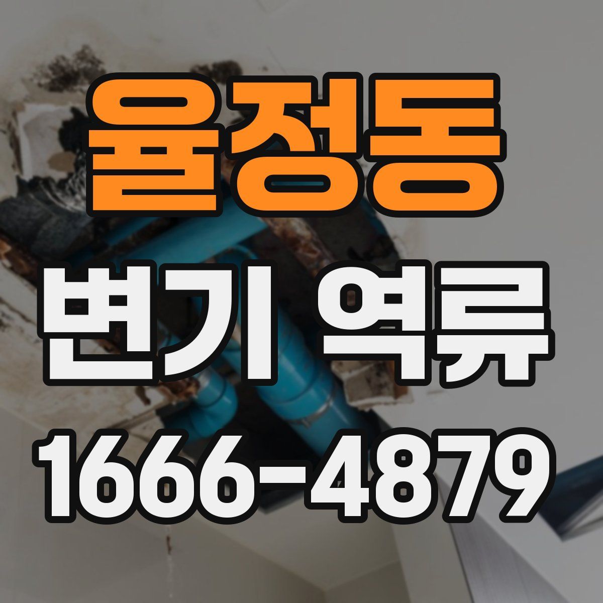율정동 변기 역류