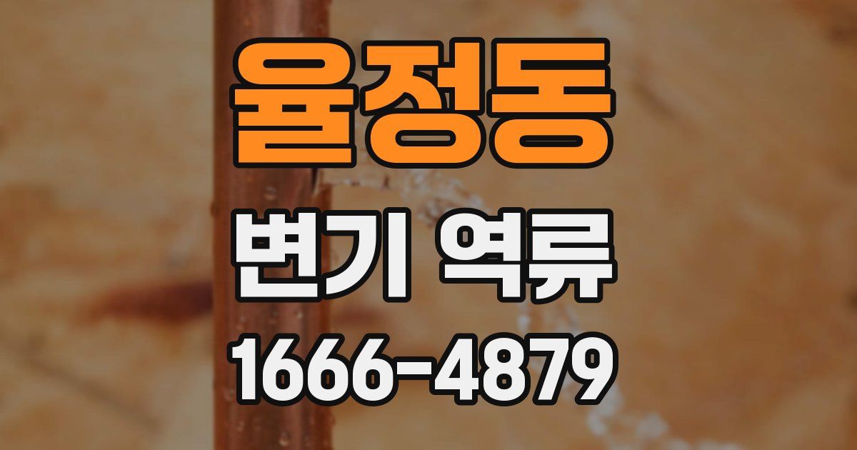 율정동 변기 역류