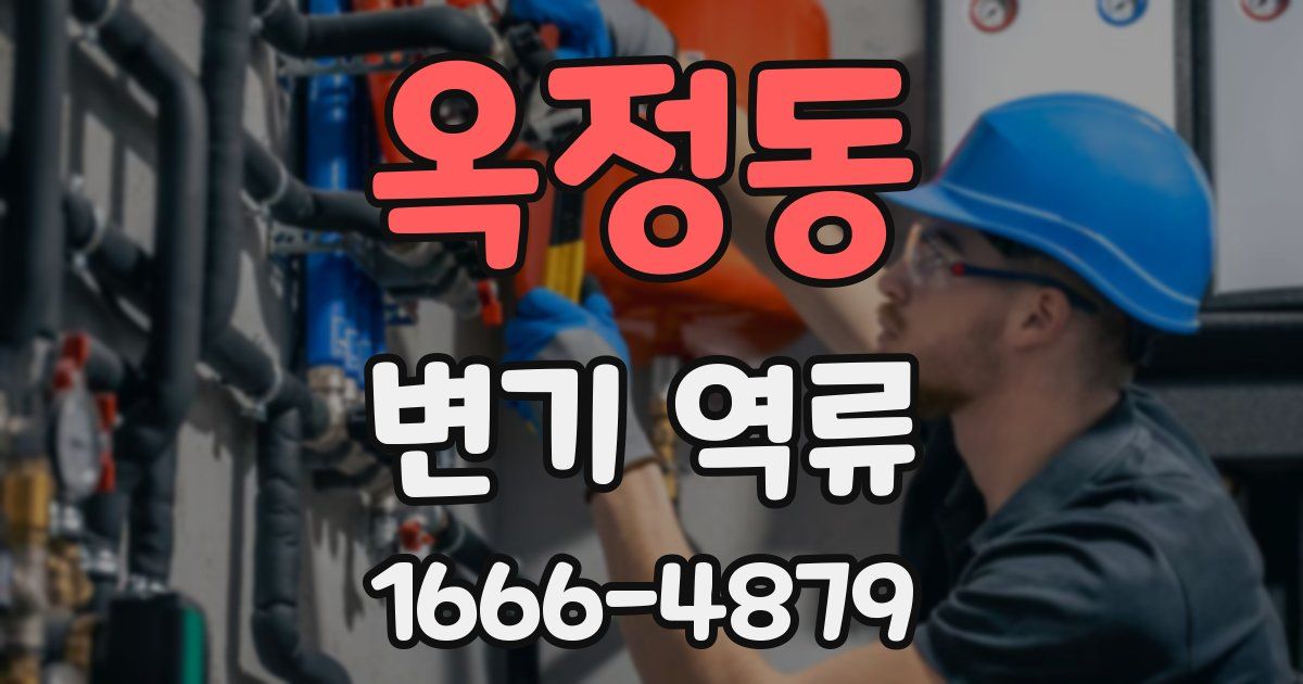 옥정동 변기 역류