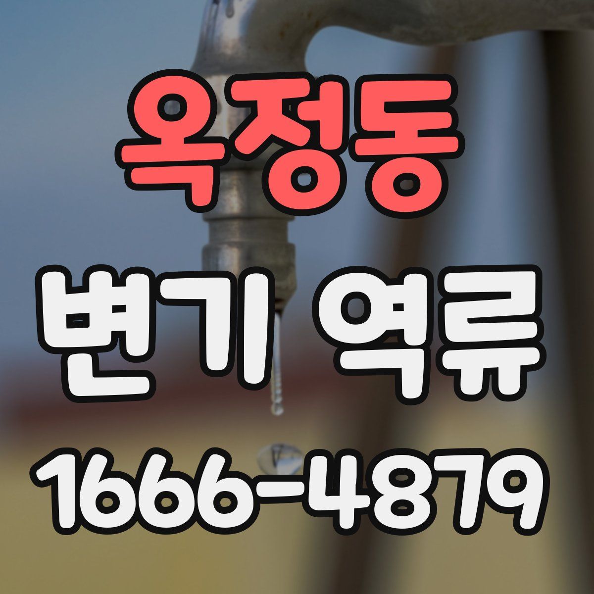 옥정동 변기 역류