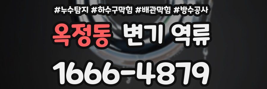 옥정동 변기 역류