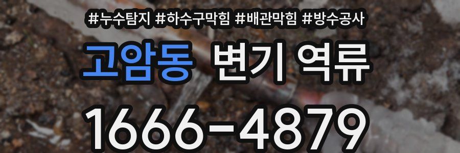 고암동 변기 역류