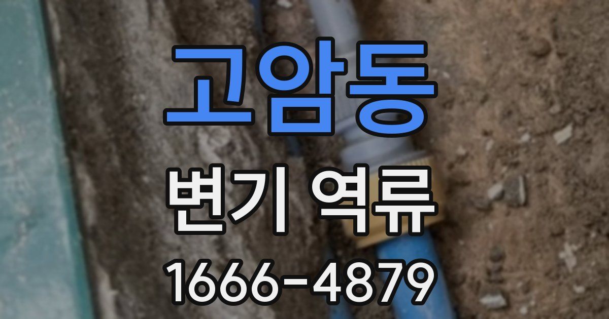 고암동 변기 역류