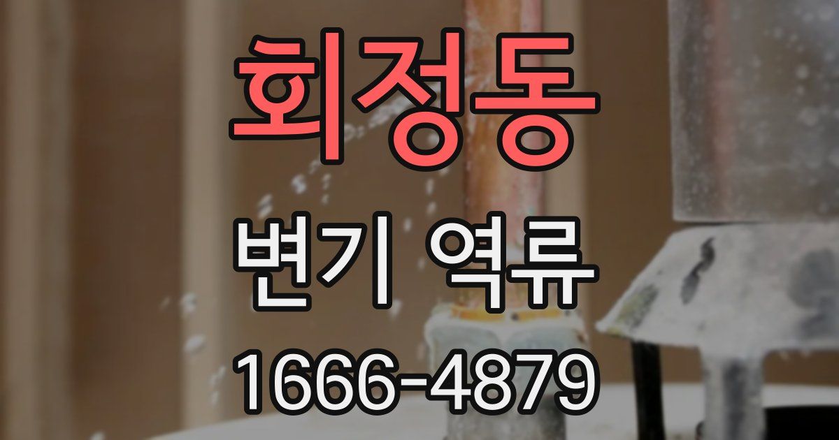 회정동 변기 역류