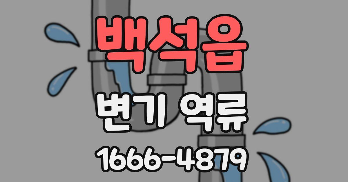 백석읍 변기 역류