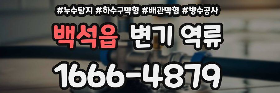 백석읍 변기 역류