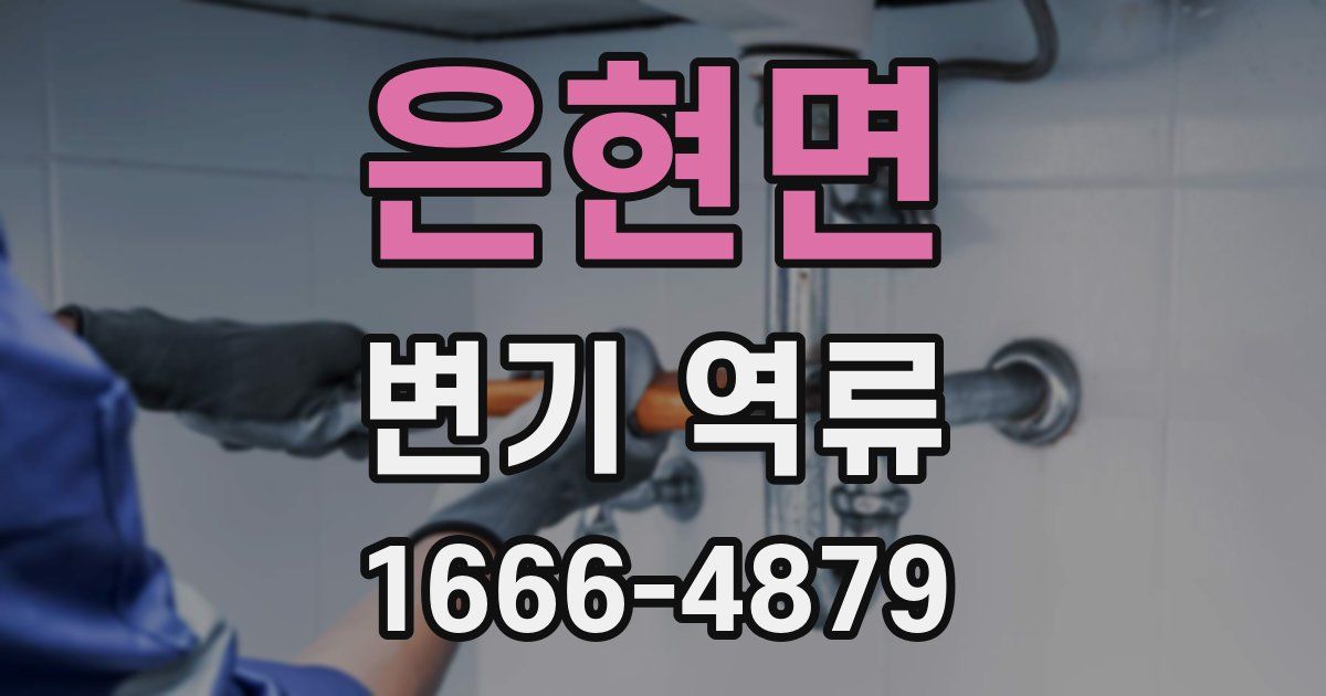 은현면 변기 역류