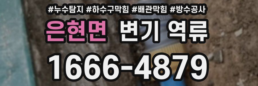 은현면 변기 역류