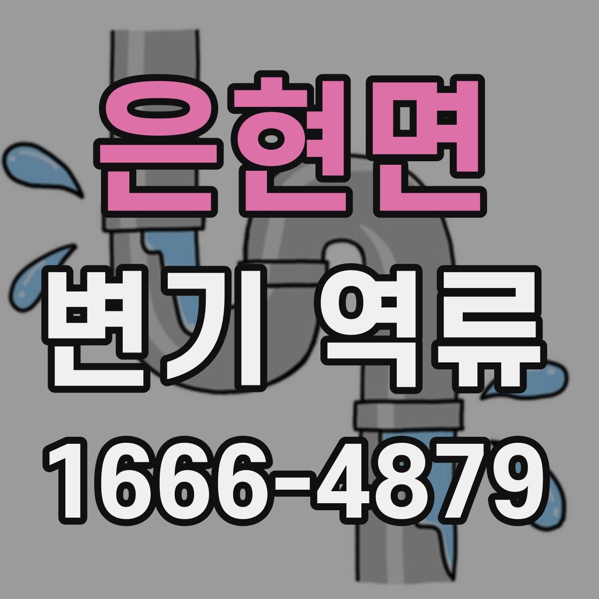 은현면 변기 역류