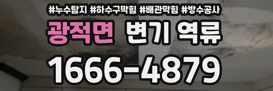 광적면 변기 역류