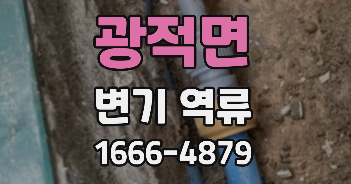 광적면 변기 역류