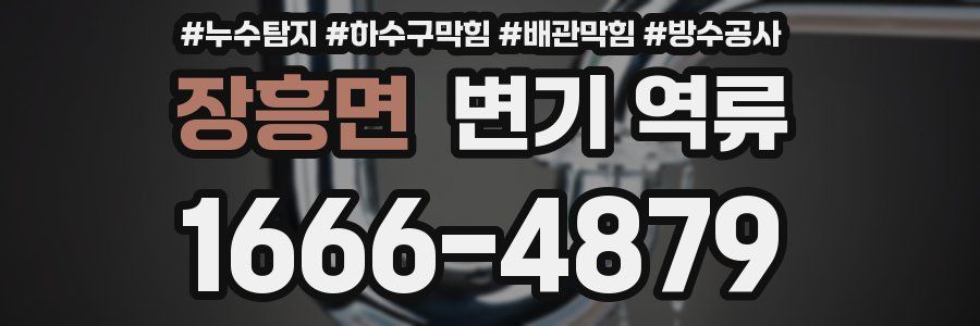 장흥면 변기 역류