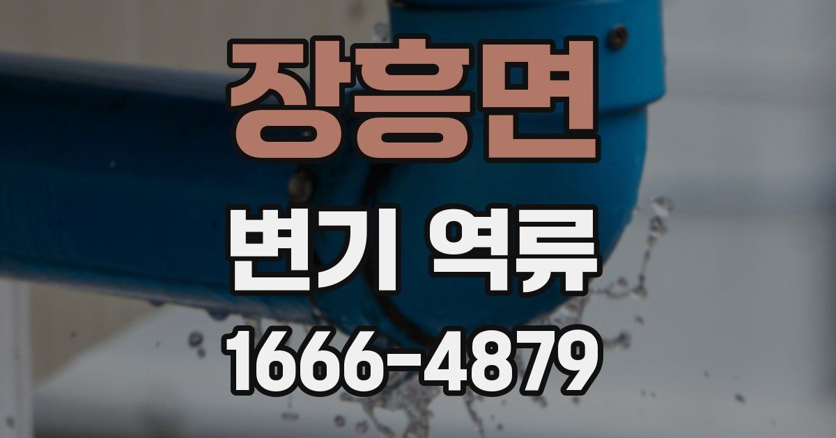 장흥면 변기 역류