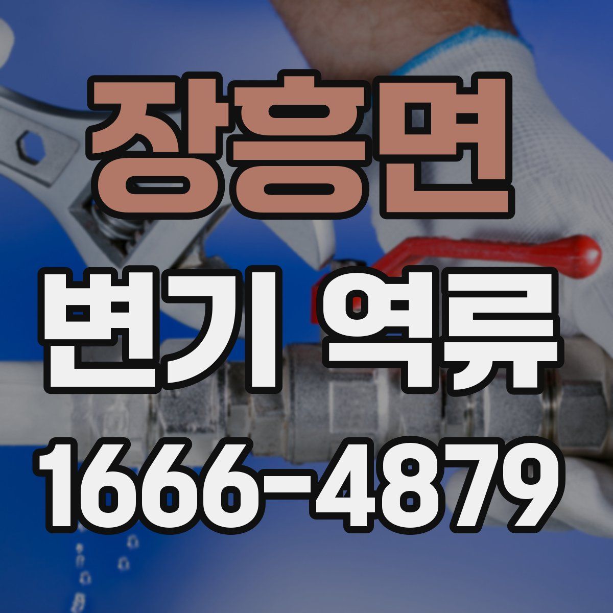 장흥면 변기 역류