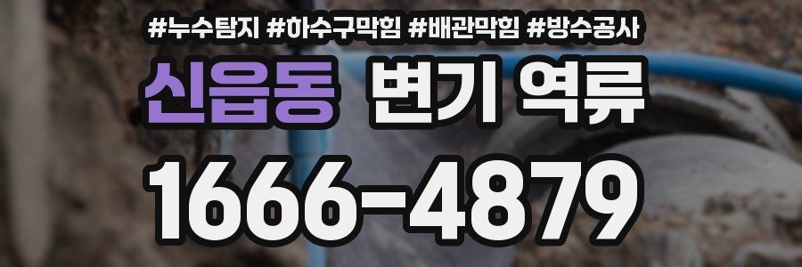 신읍동 변기 역류