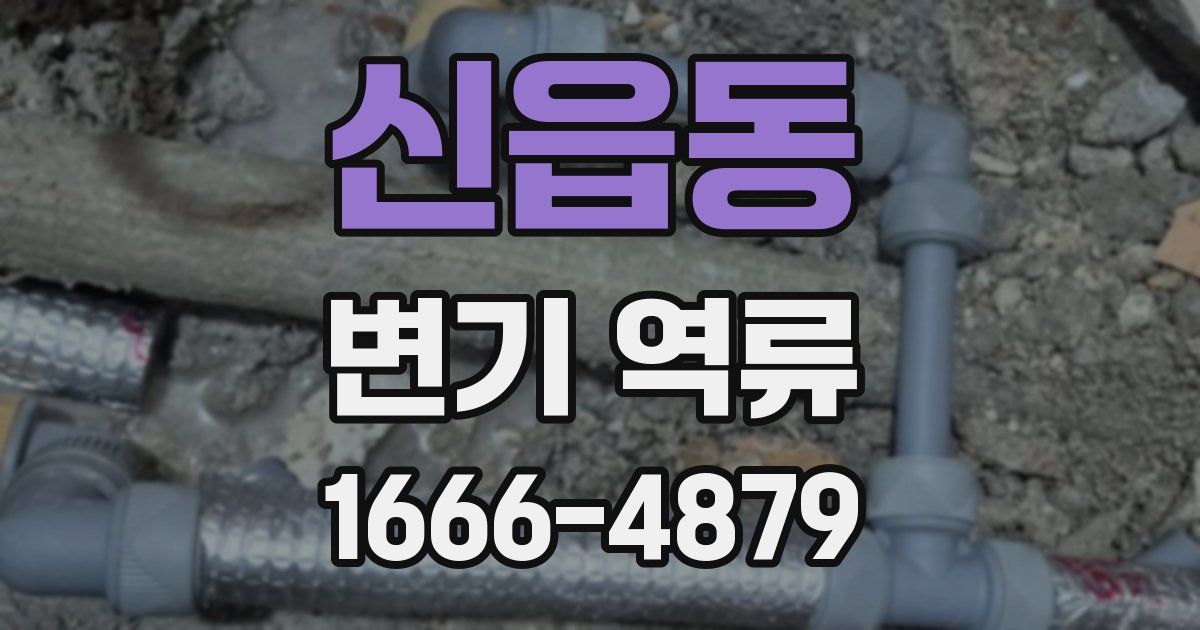 신읍동 변기 역류