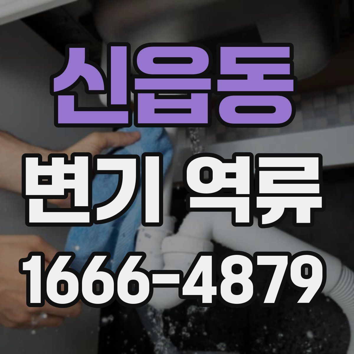 신읍동 변기 역류