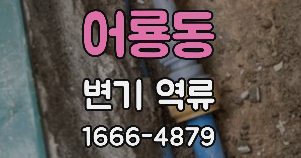어룡동 변기 역류