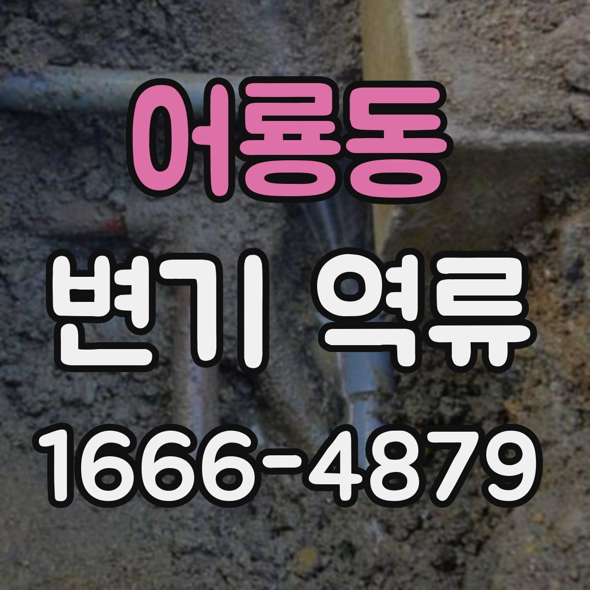 어룡동 변기 역류