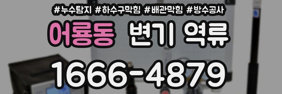 어룡동 변기 역류