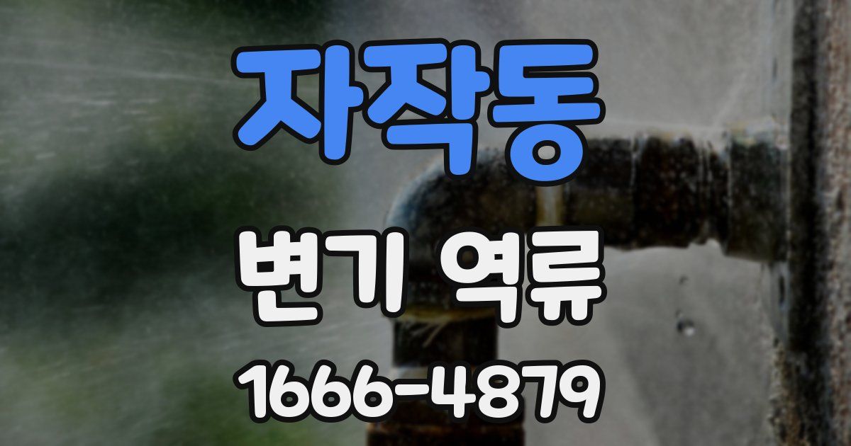 자작동 변기 역류