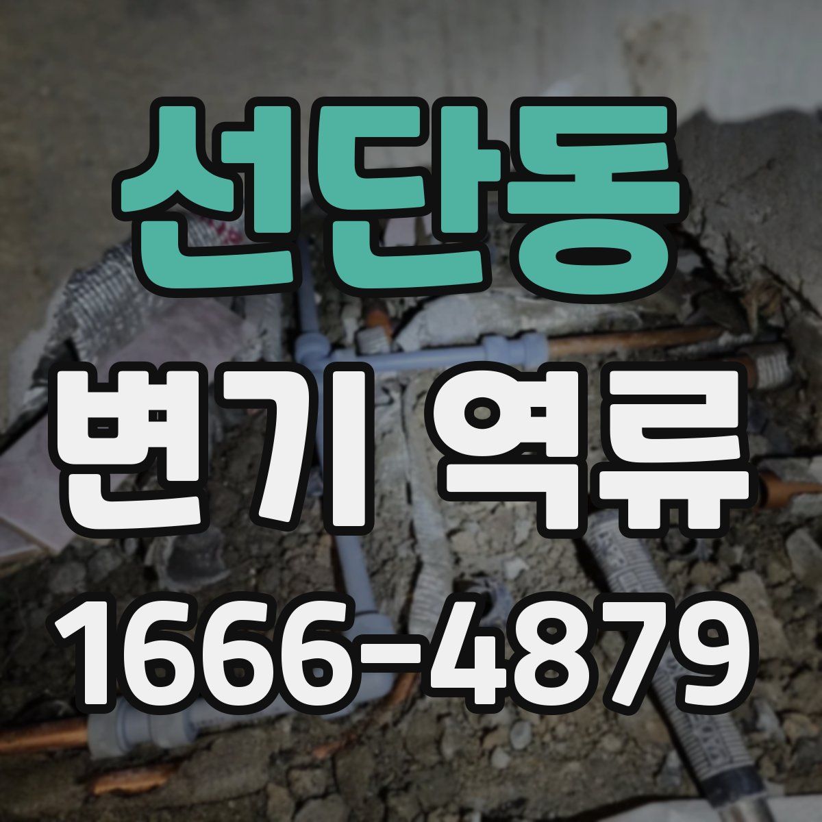 선단동 변기 역류