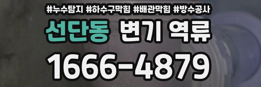선단동 변기 역류
