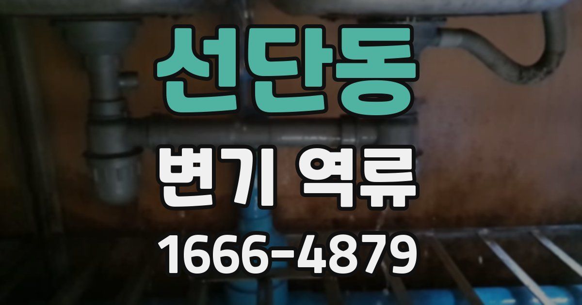 선단동 변기 역류