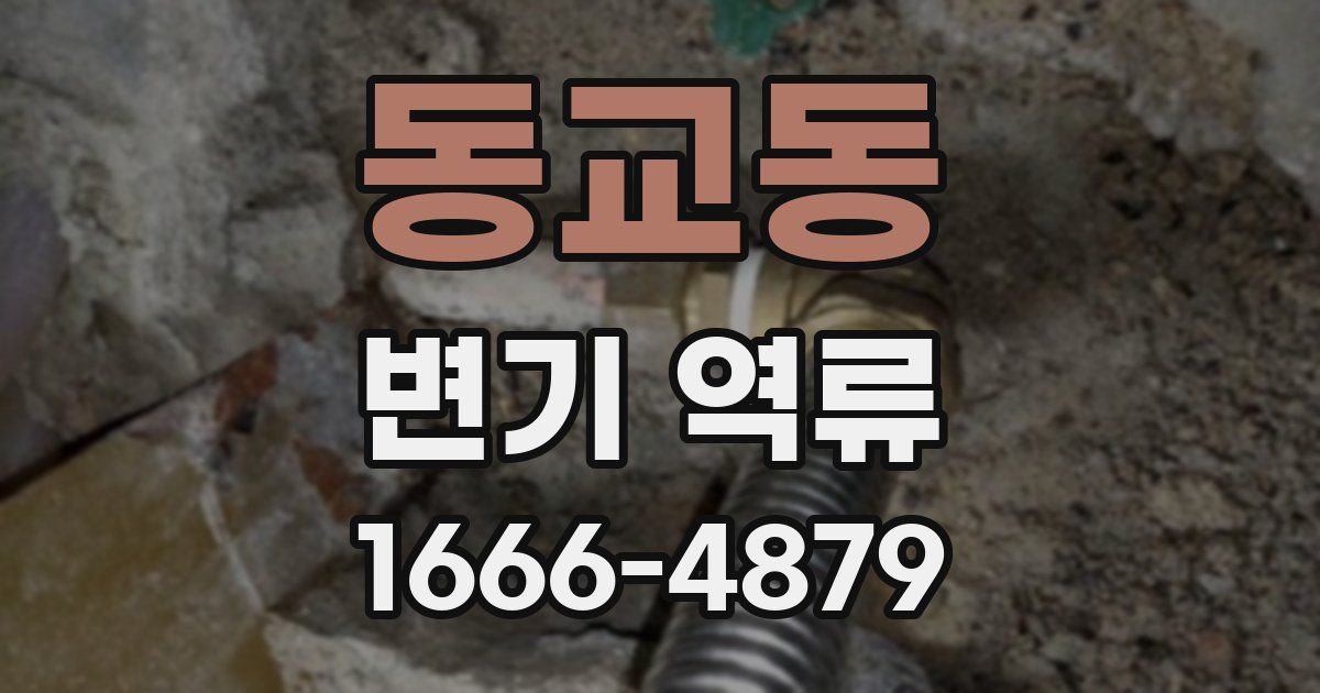 동교동 변기 역류