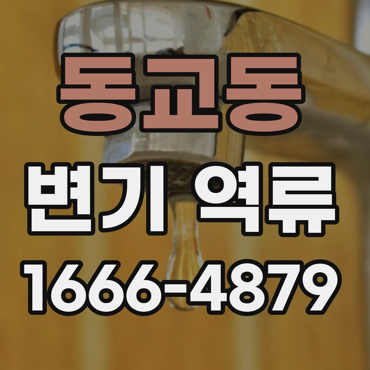 동교동 변기 역류