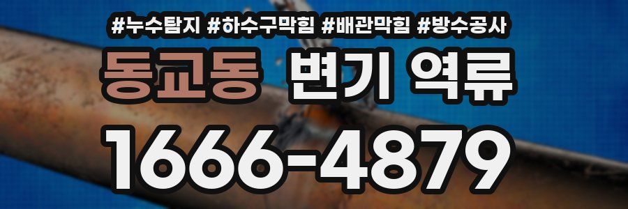 동교동 변기 역류