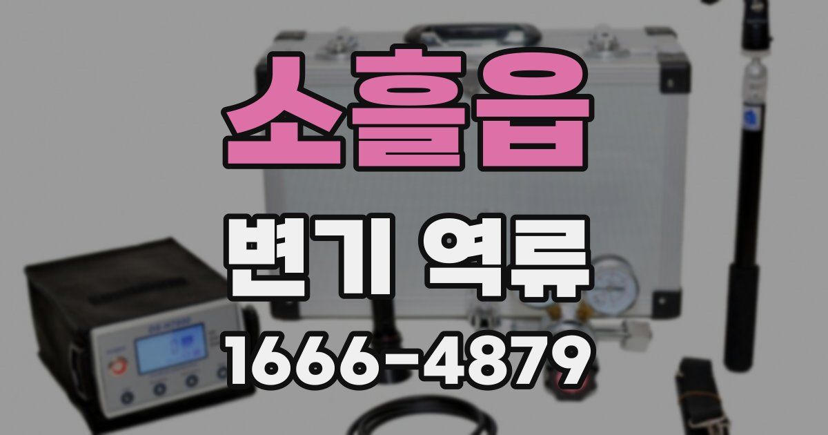 소흘읍 변기 역류