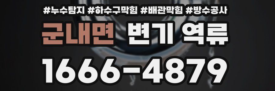 군내면 변기 역류