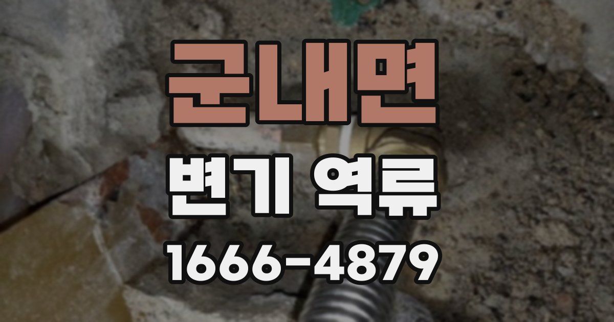 군내면 변기 역류