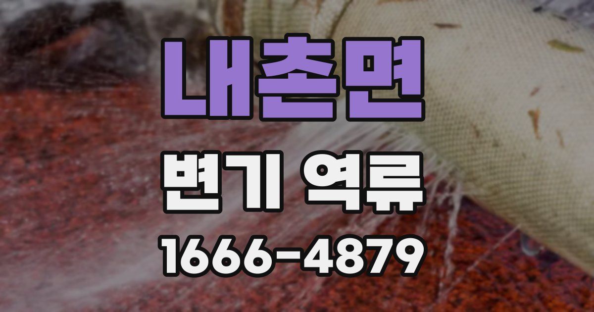 내촌면 변기 역류