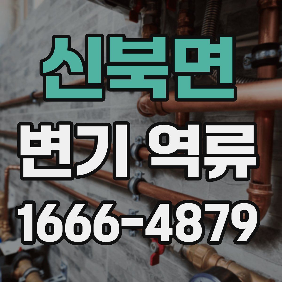 신북면 변기 역류