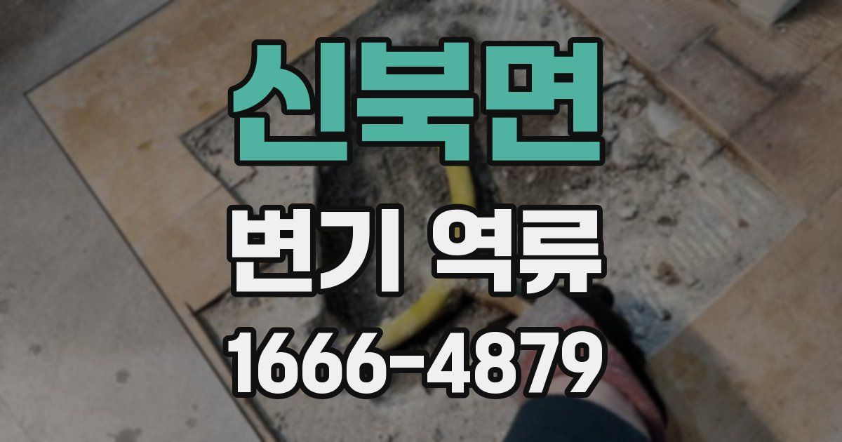 신북면 변기 역류