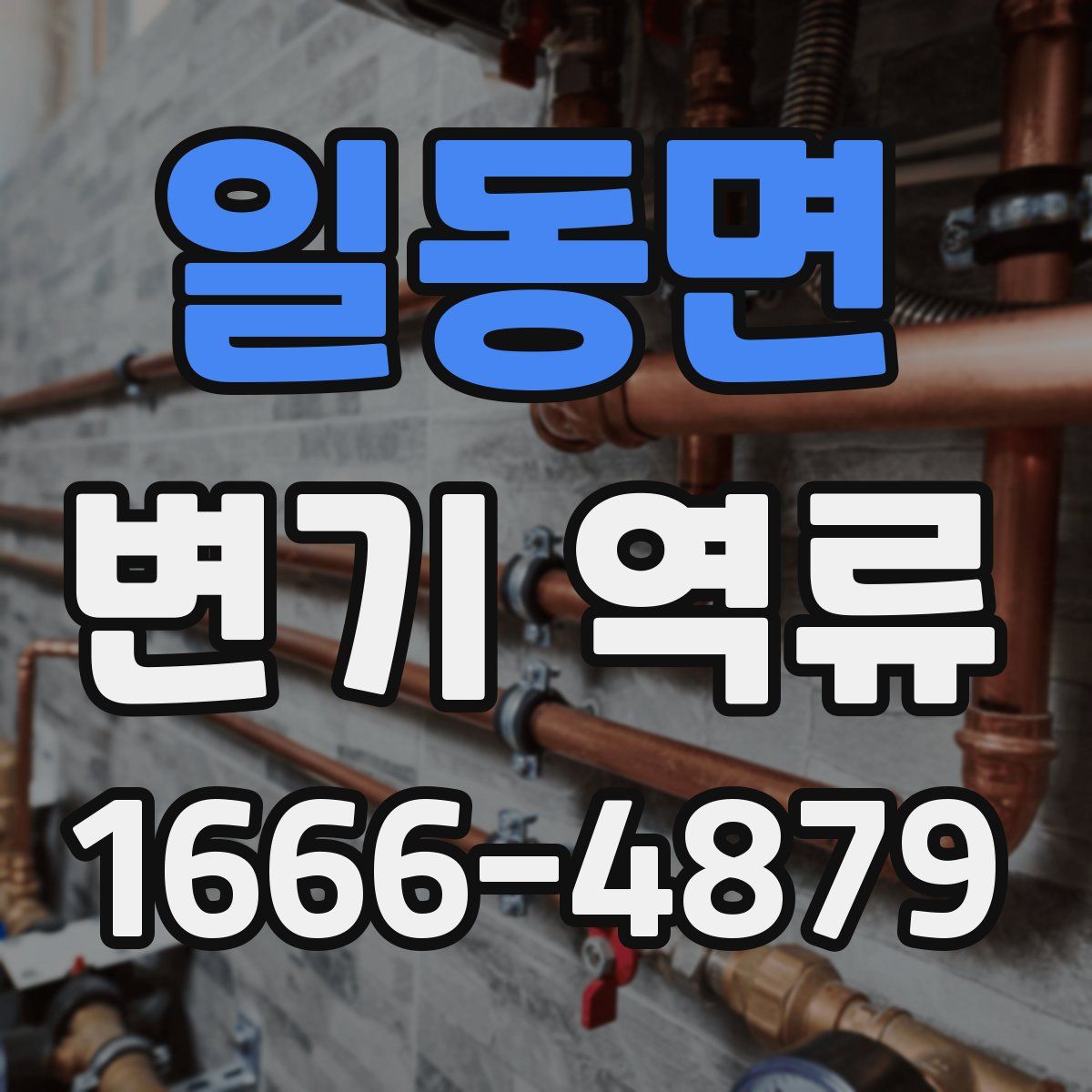 일동면 변기 역류