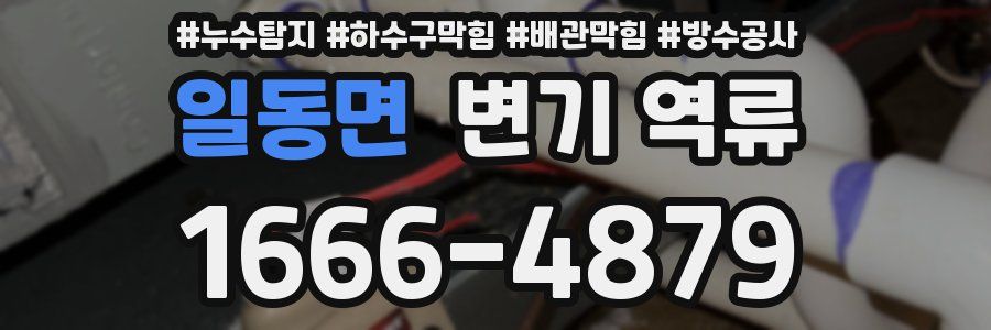 일동면 변기 역류