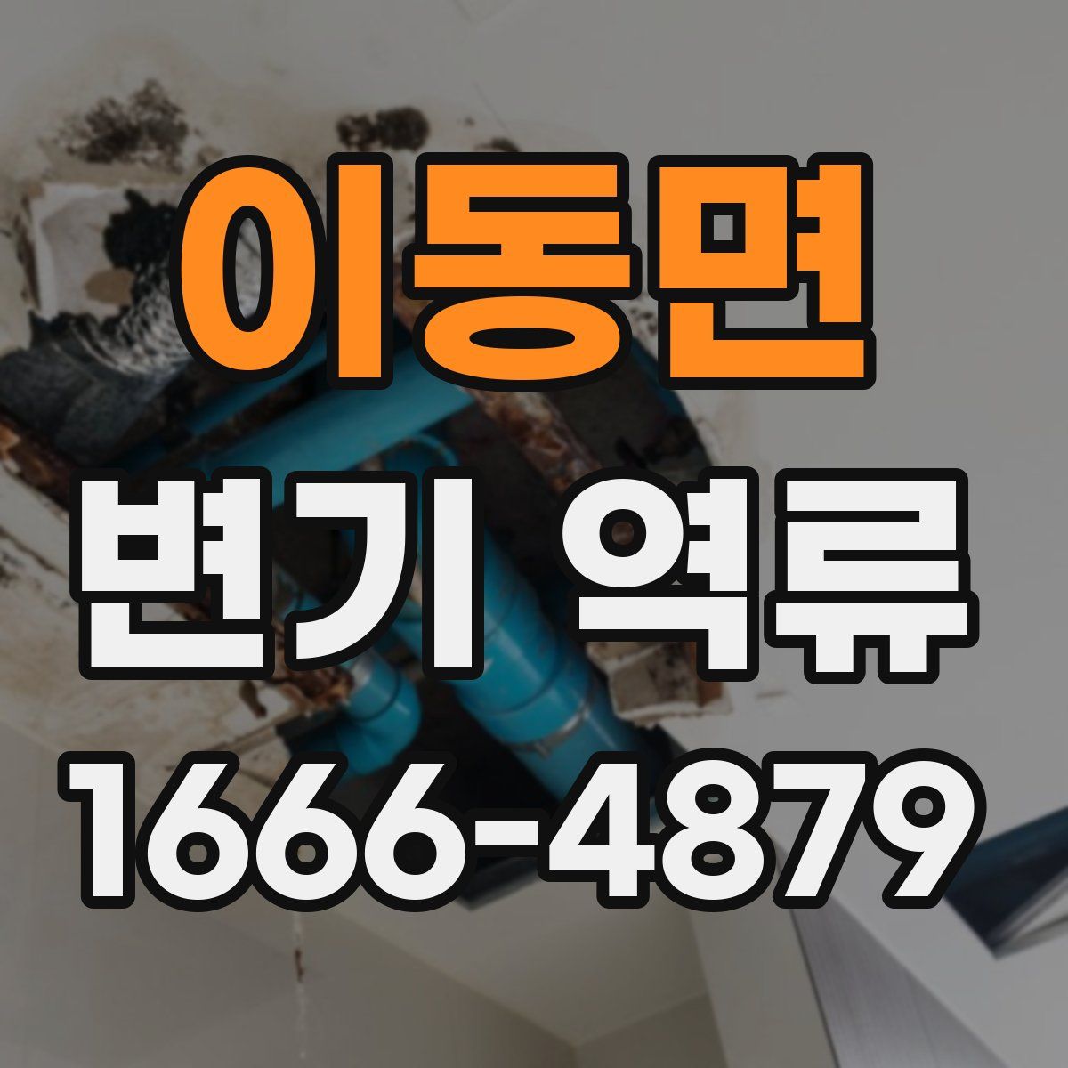 이동면 변기 역류