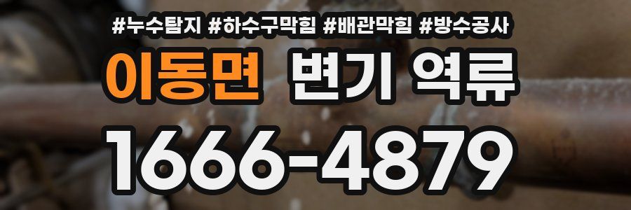 이동면 변기 역류