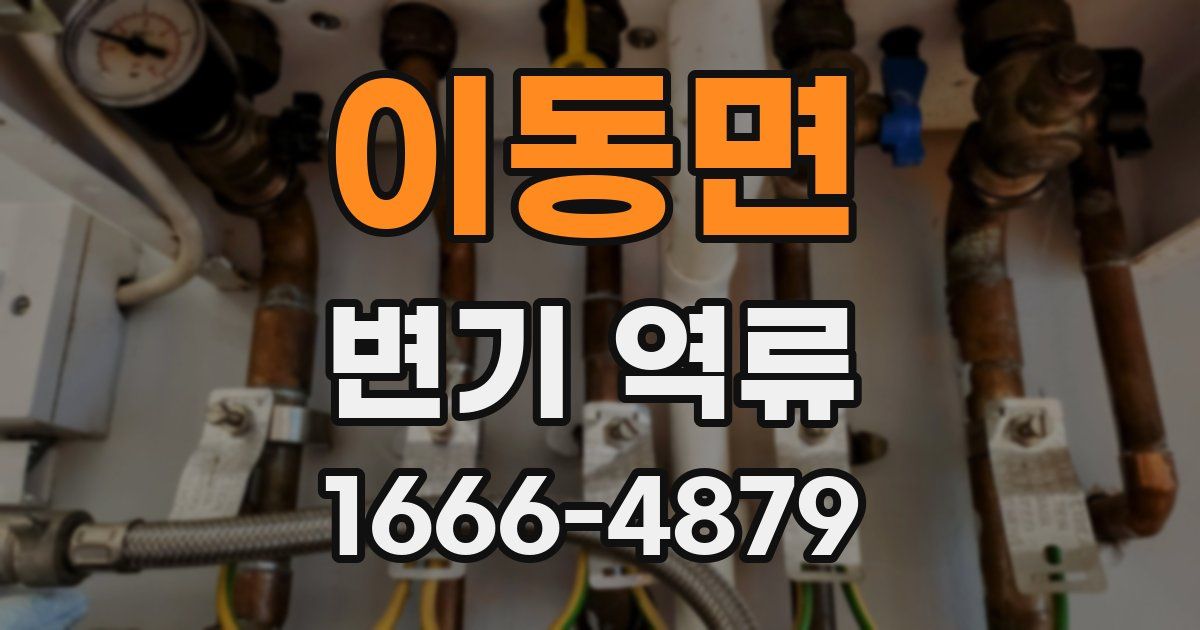 이동면 변기 역류