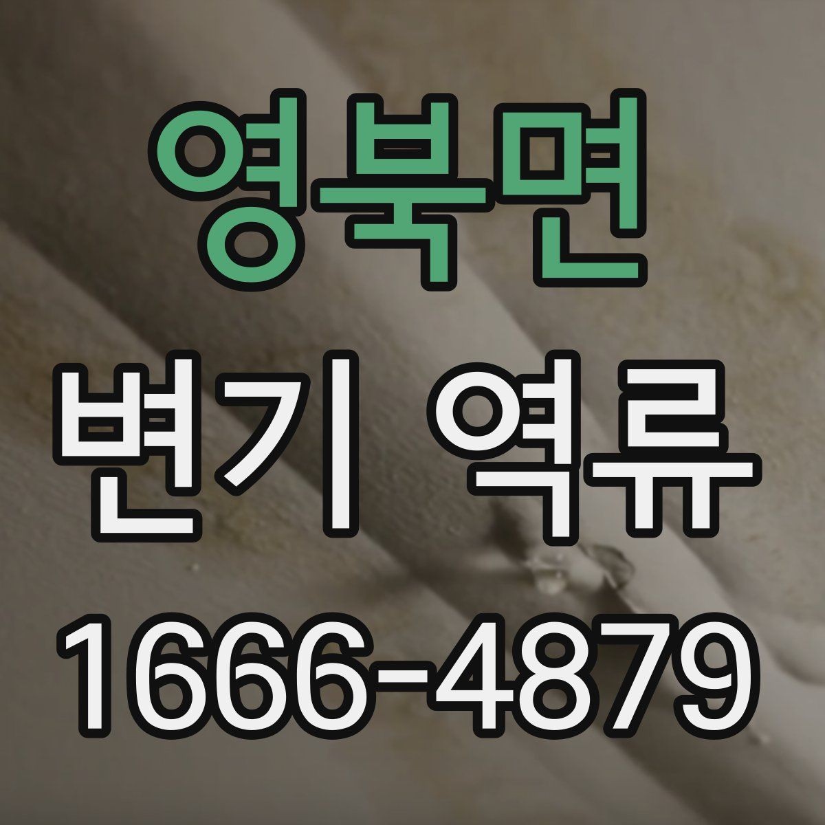 영북면 변기 역류 원인부터 대처까지 한눈에 보기