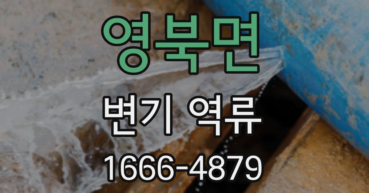 영북면 변기 역류