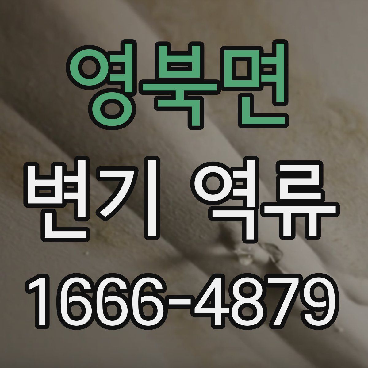 영북면 변기 역류