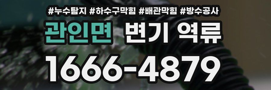 관인면 변기 역류
