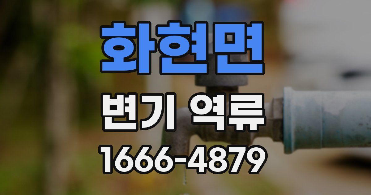 화현면 변기 역류