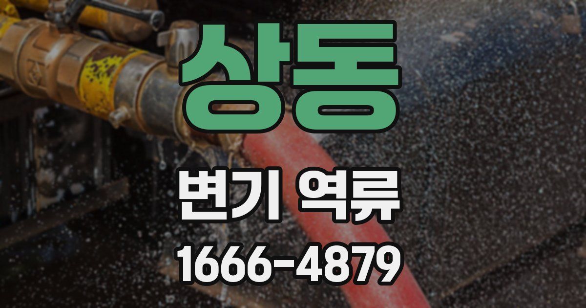 상동 변기 역류