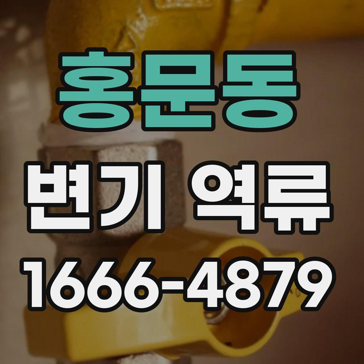 홍문동 변기 역류